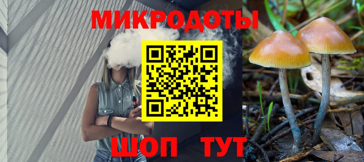 Новозыбков  Псилоцибиновые грибы Psilocybine cubensis  Вход с VPN  Псилоцибиновые грибы мухоморы 